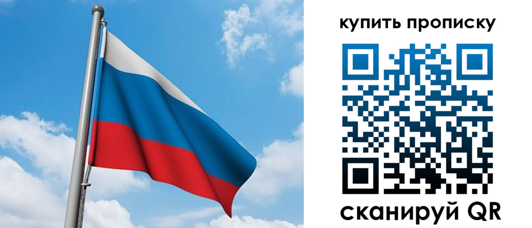 прописка законно в Светлом